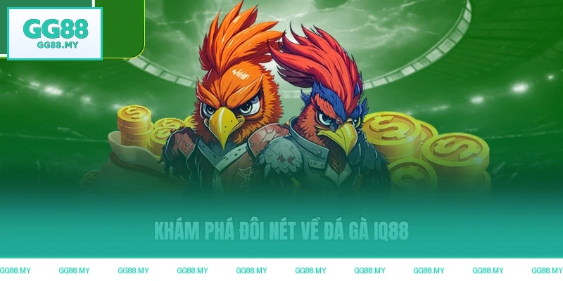 Khám phá đôi nét về đá gà GG88