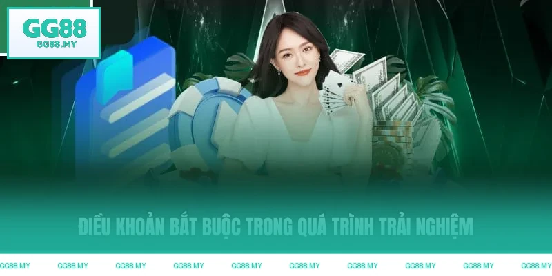 Điều khoản bắt buộc trong quá trình trải nghiệm