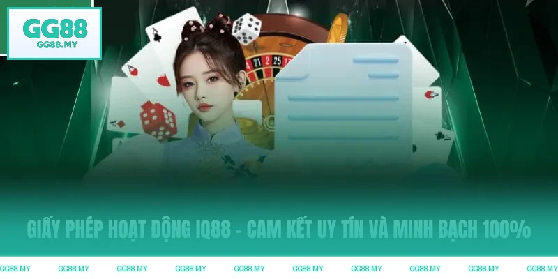 Định nghĩa về giấy phép hoạt động